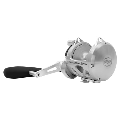 Penn International VI Conventional Fishing Reels for Bass Fishing in Lakes