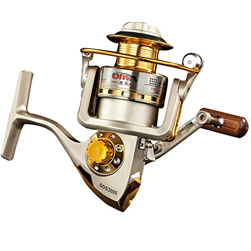 Diwa Saltwater Freshwater Spinning Fishing Reels for Trout Carp 1000-6000 Series Left/Right Interchangeable 10 Ball Bear