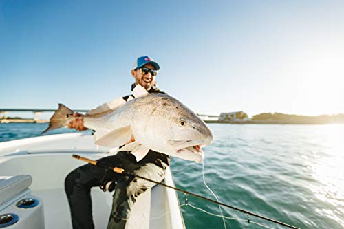 Lightweight Saltwater Fishing Reel for Penn Clash II Lure Fishing
| Penn Clash II Kayak Fishing Reel for Bass, Pollack,