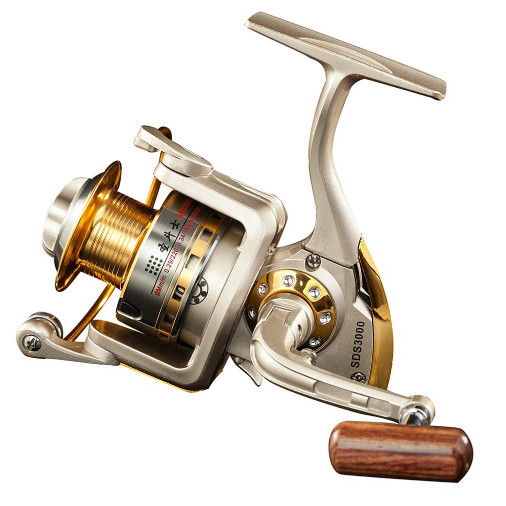 Diwa Saltwater Freshwater Spinning Fishing Reels for Trout Carp 1000-6000 Series Left/Right Interchangeable 10 Ball Bear